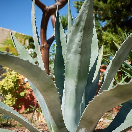 דירות La Palme Jardin De Palme מראה חיצוני תמונה